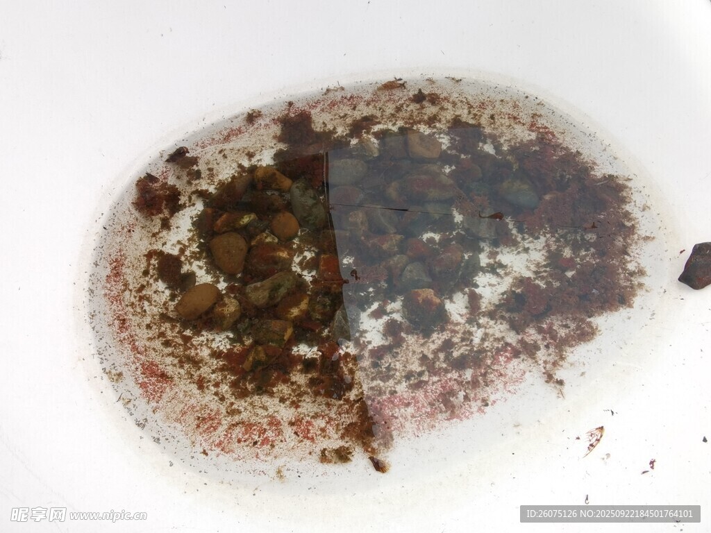 戶外積水里的的微生物樣本