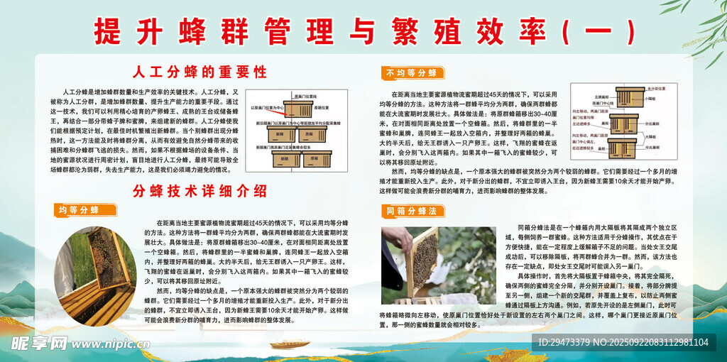 提升蜂群管理 蜜蜂