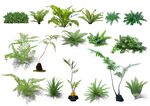 多樣綠植盆栽展示