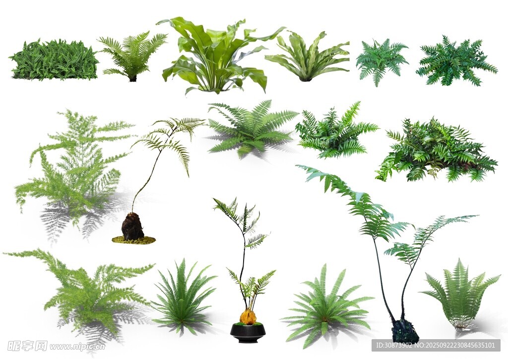 多樣綠植盆栽展示