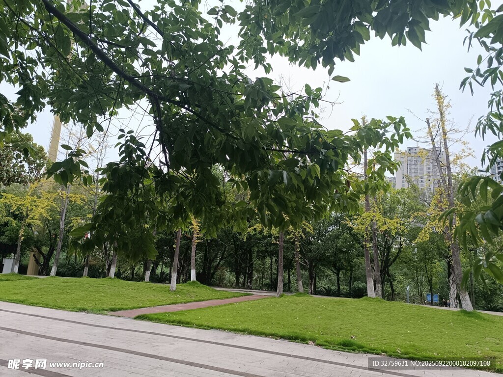 城市中的靜謐林蔭綠地
