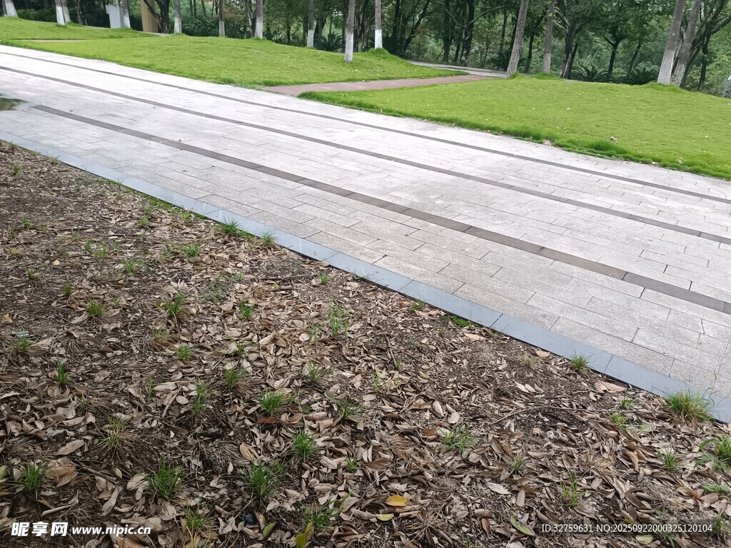 戶外水泥路面與周邊植被