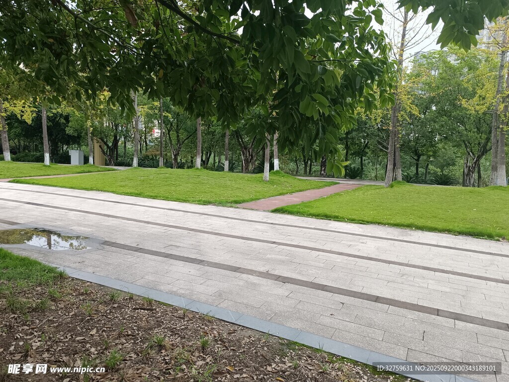 公園中的平坦步道與綠樹