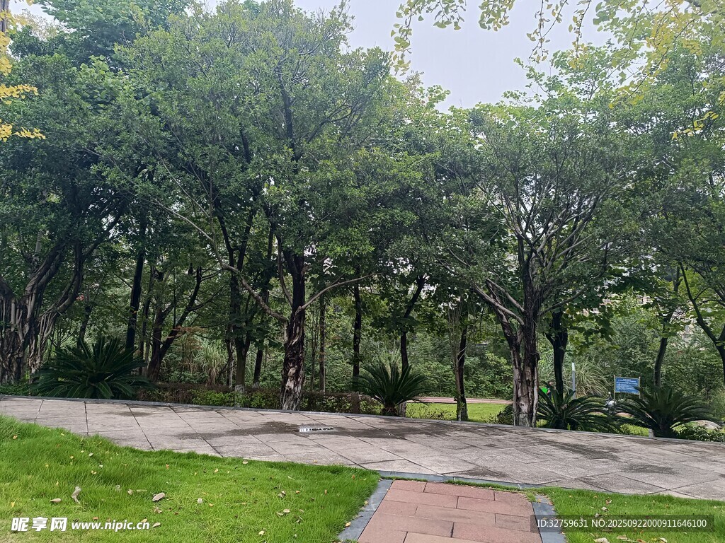 城市中的靜謐林間小道