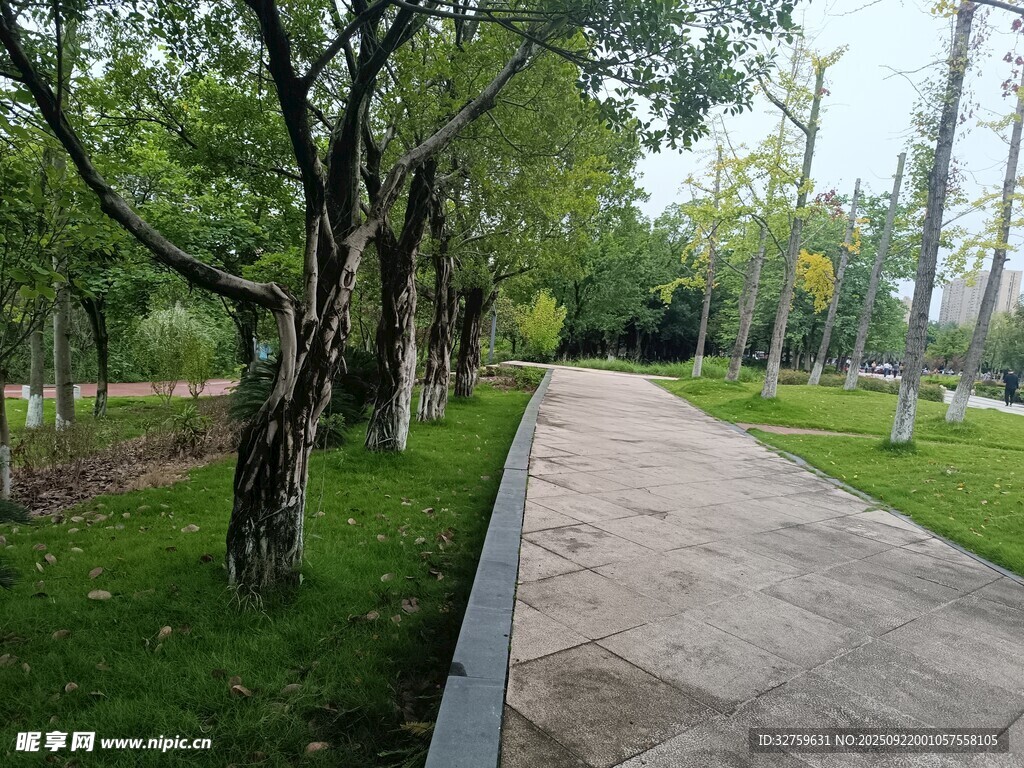 公園林蔭步道景色