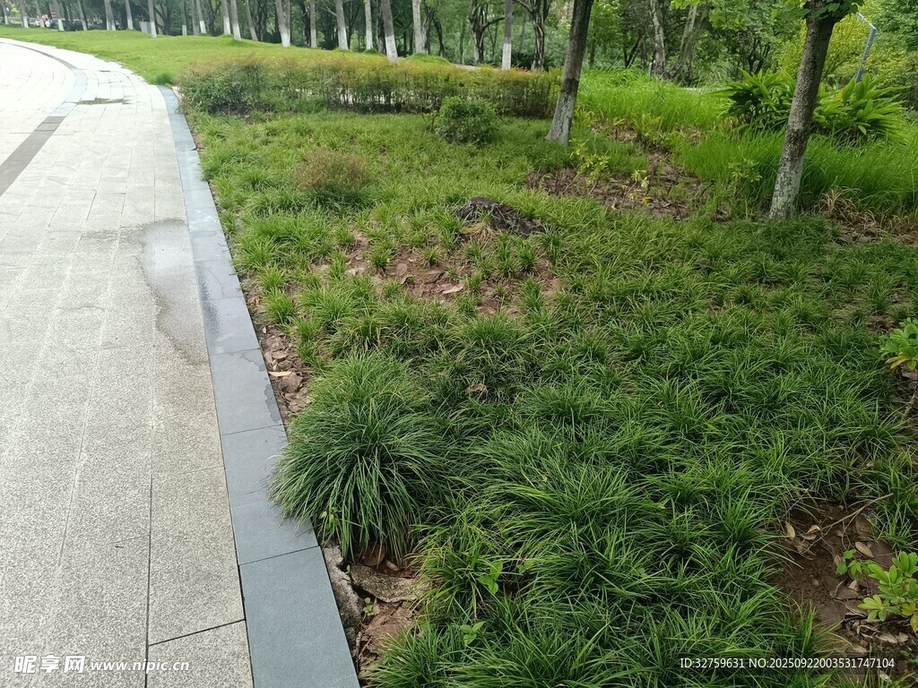 城市中的綠植小徑景觀