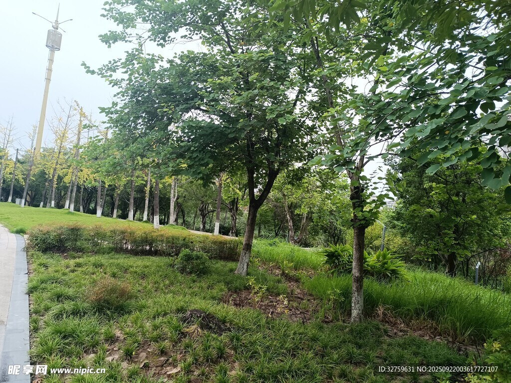綠意盎然的戶(hù)外園林景觀(guān)
