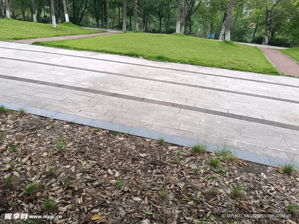 公園中的水泥步道與綠地