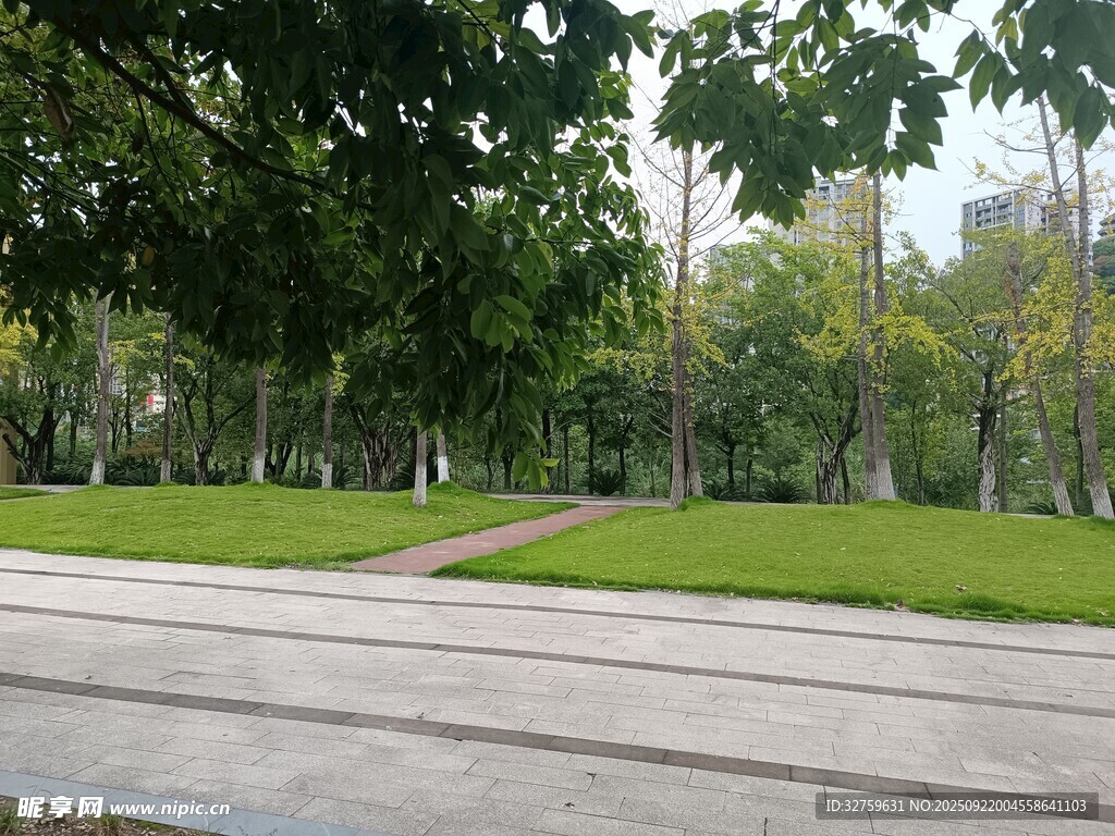 公園中的開闊綠地與林蔭道