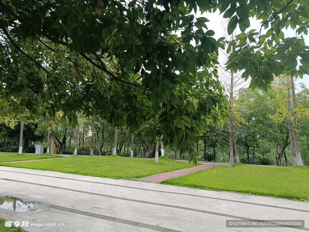 公園林蔭下的寧靜步道
