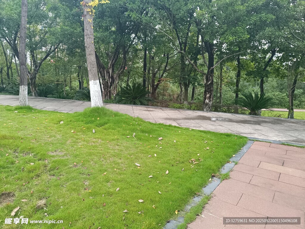 公園中的林蔭小徑