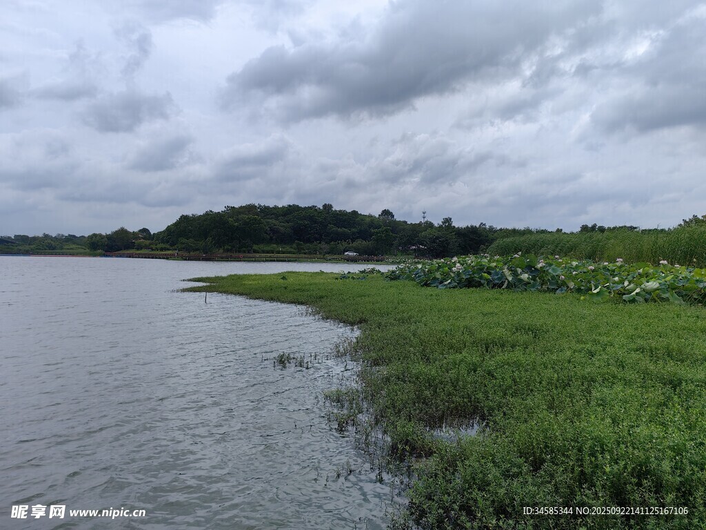 湖畔綠野陰云下的自然景致