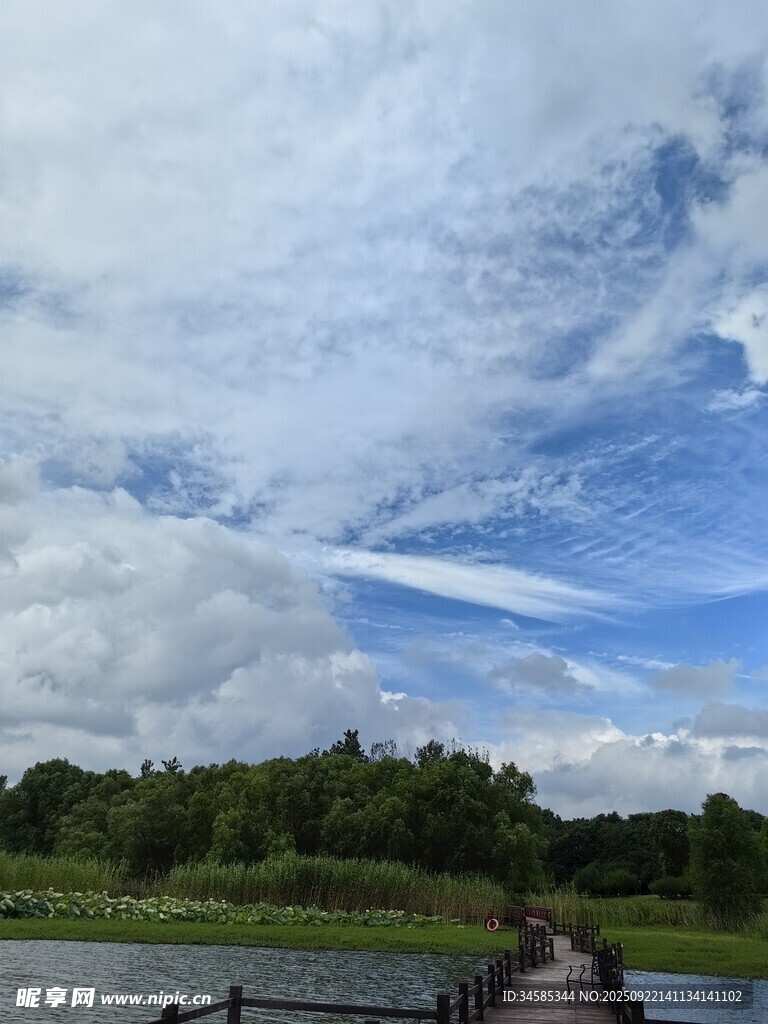 湖畔木棧道的自然美景