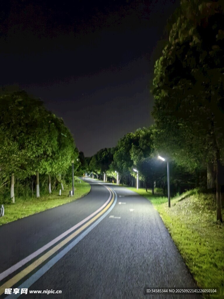 夜晚林間公路的靜謐景象