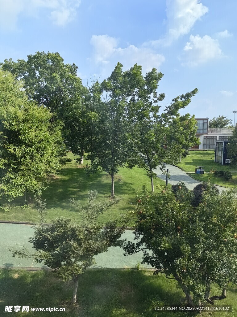 綠意盎然的戶外自然景觀