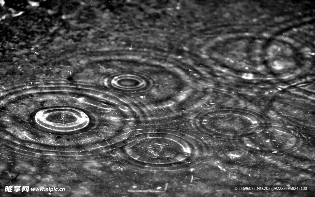 雨滴落水面形成的漣漪