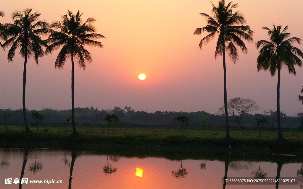 夕陽下的椰林湖畔美景