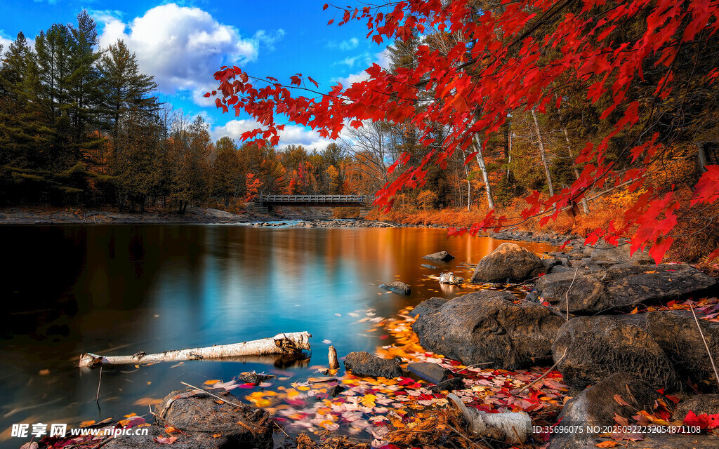 秋日湖畔紅葉美景