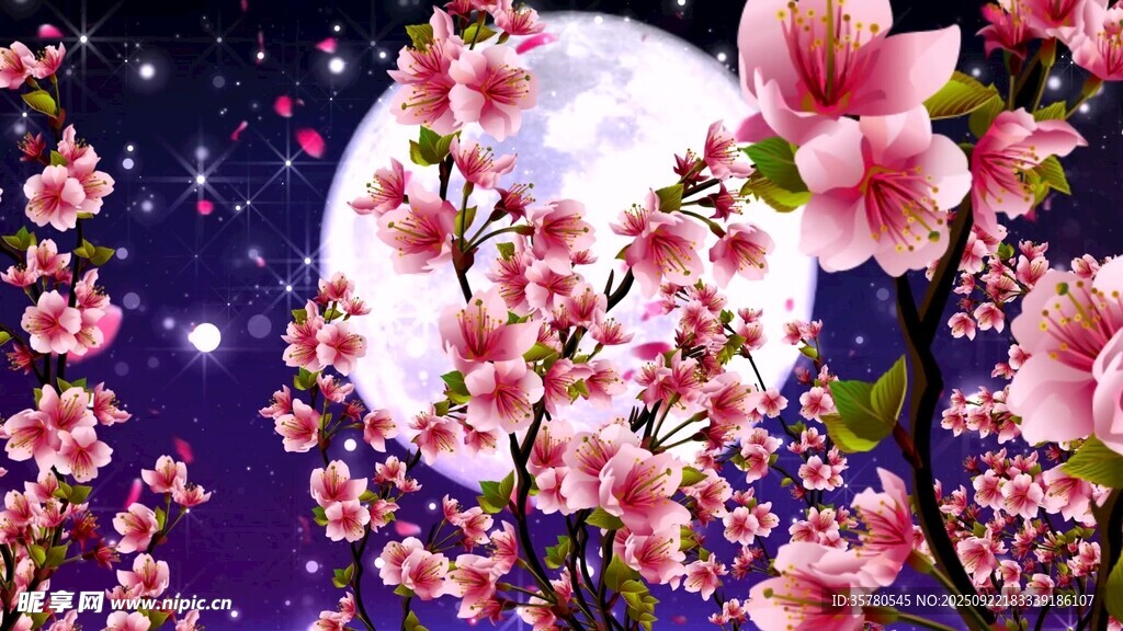 月夜繁花景