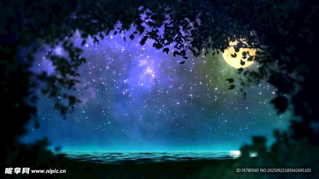 夢(mèng)幻星空下的靜謐森林