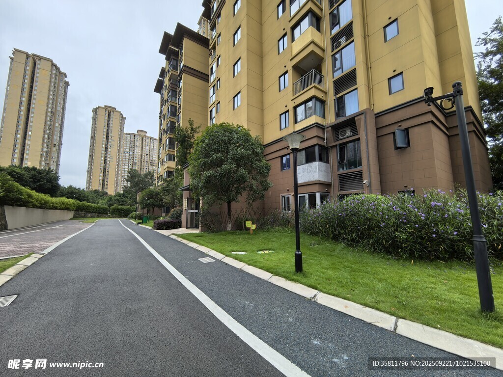 小區(qū)道路旁的高層住宅樓