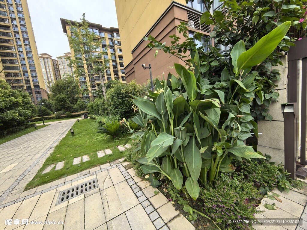 小區(qū)內(nèi)的綠植景觀