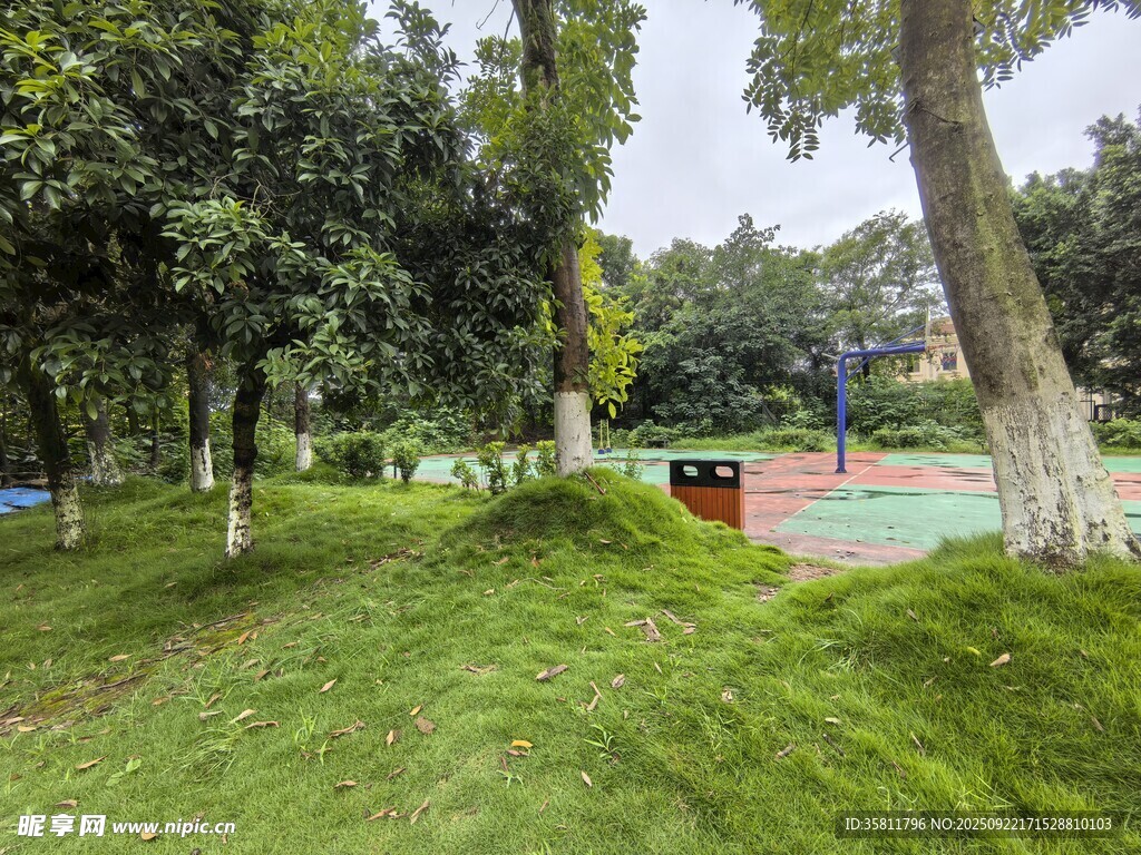 綠意盎然的公園休閑場(chǎng)景