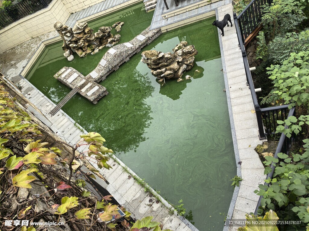 中式園林池塘景觀