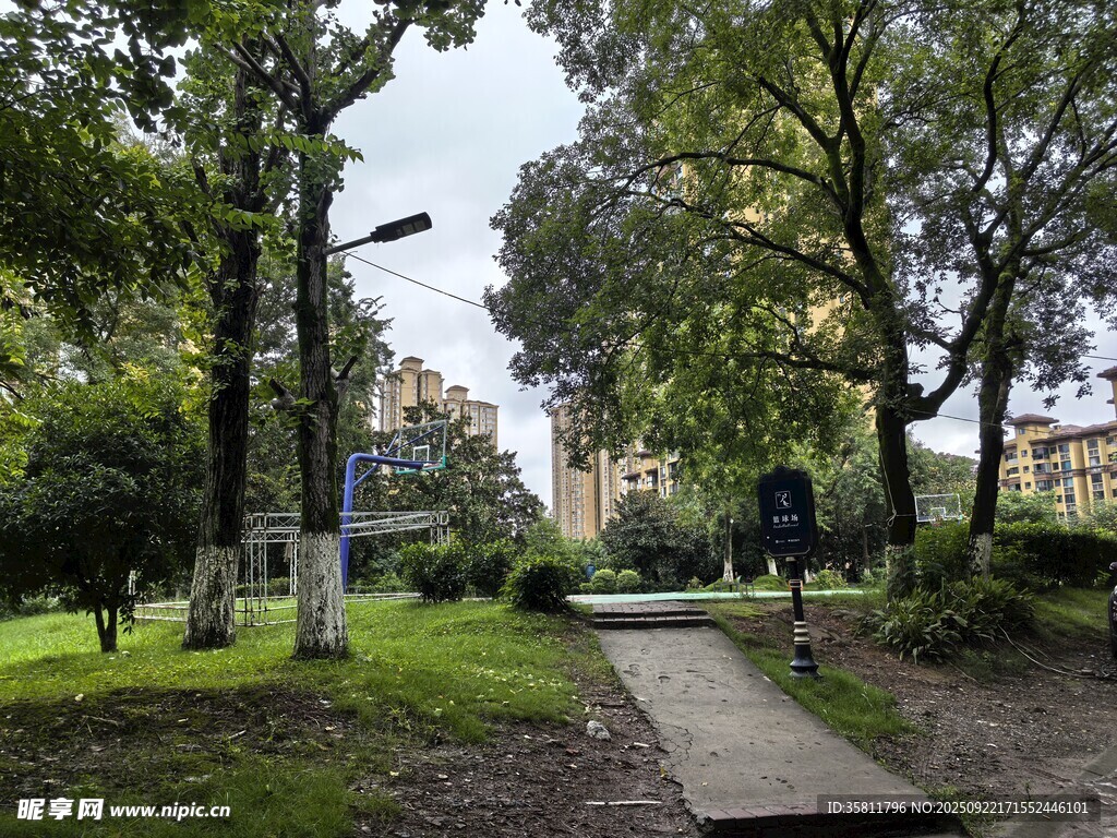 城市林蔭小道的靜謐景致