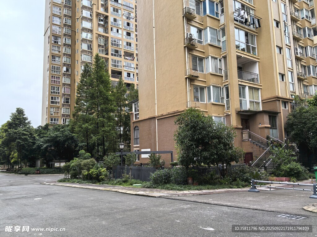 高層住宅樓旁的綠化景觀