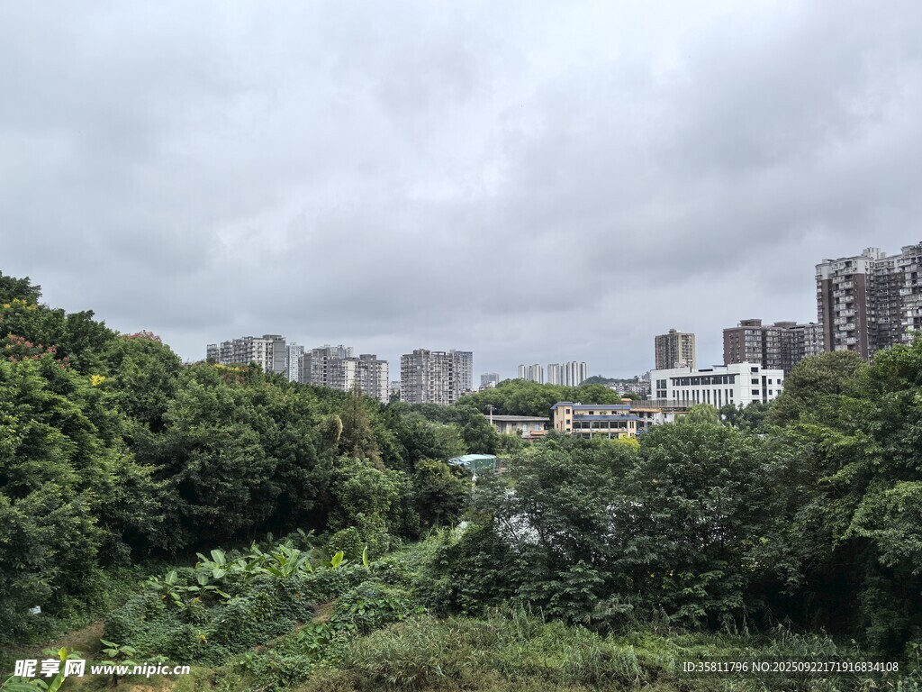 綠樹環(huán)繞中的城市建筑群