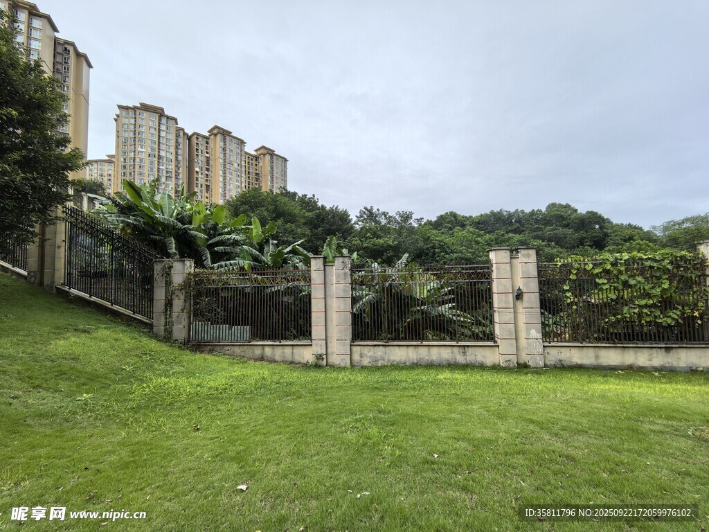 戶外綠草如茵的石景庭院