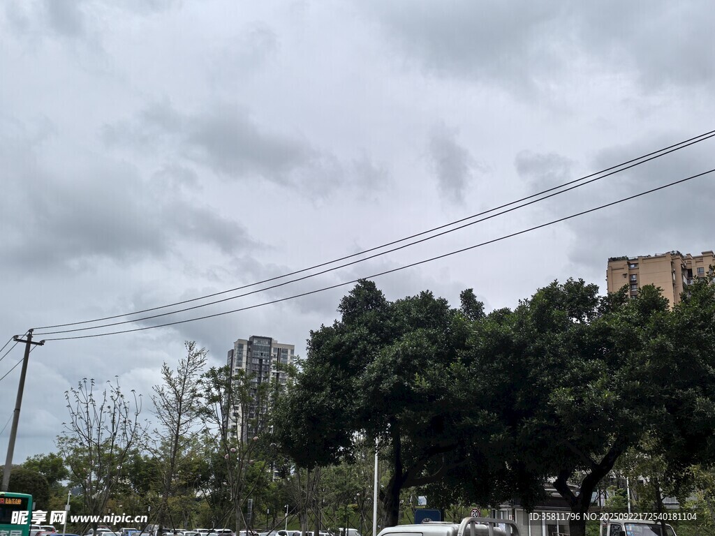陰天城市街景與樹木