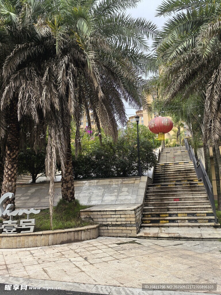 棕櫚樹環(huán)繞的石階景觀
