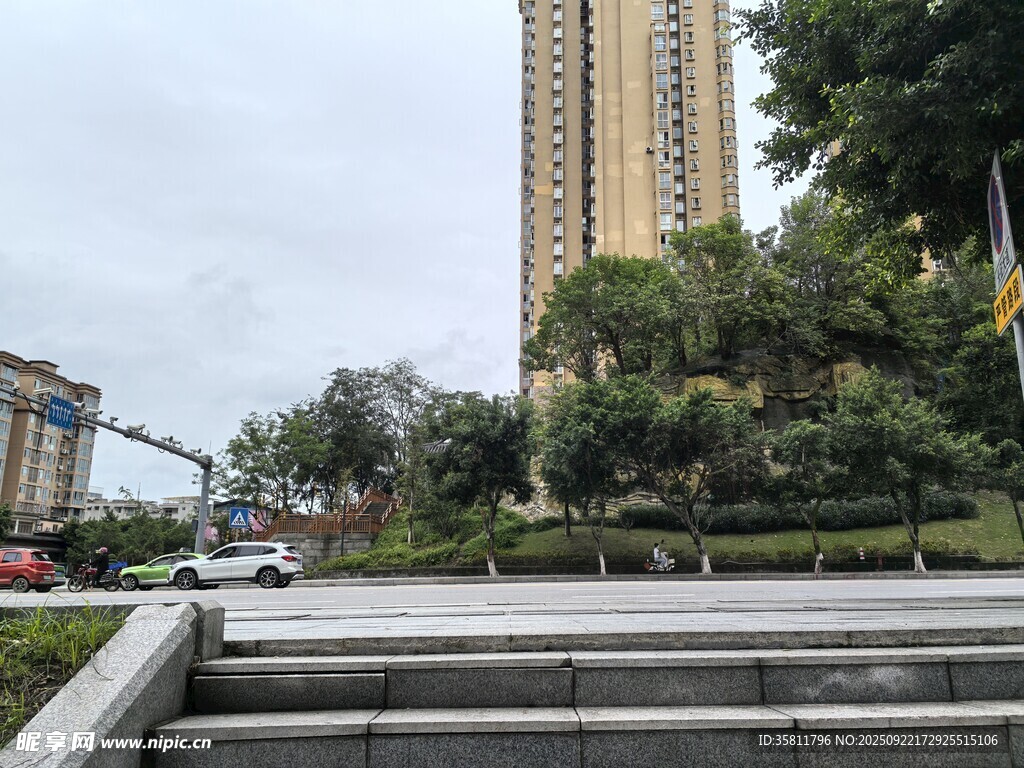 城市中的綠植與高樓景觀
