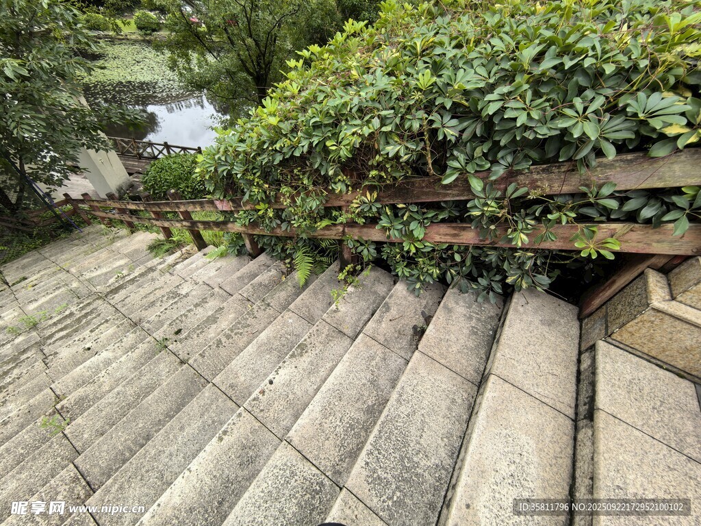 屋頂綠植與瓦片景觀