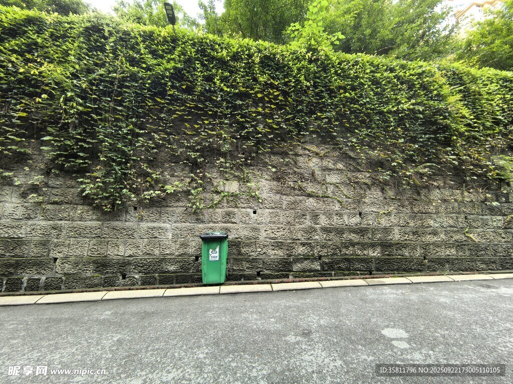 石墻綠植下的綠色箱體