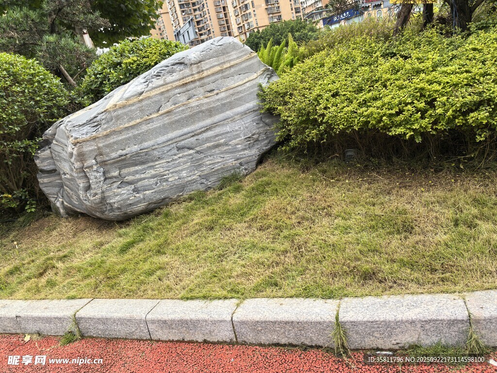 草坪中的大型景觀石