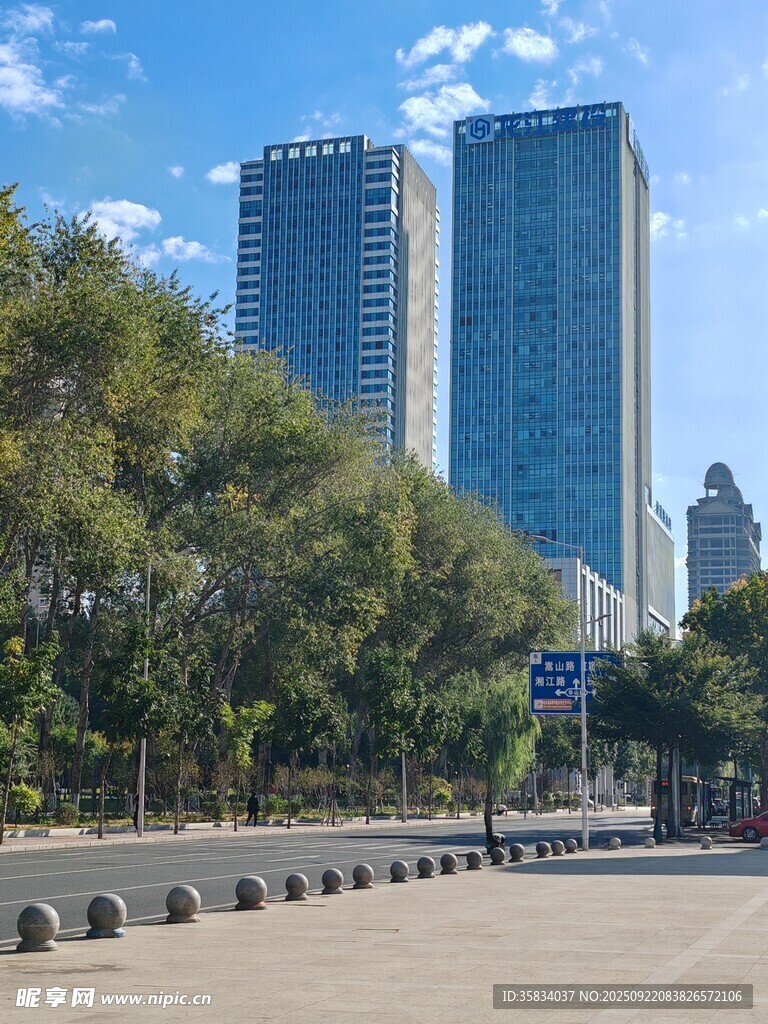 城市道路旁的摩天大樓