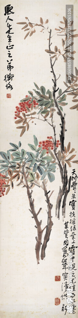 中式花鳥工筆畫