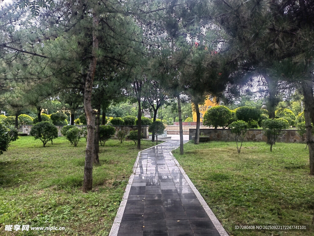 雨后靜謐的林間小道