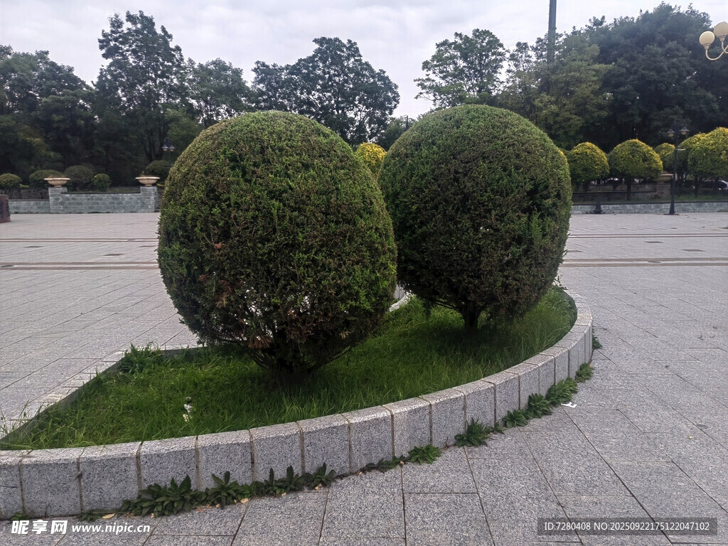 圓形綠植裝點廣場一角