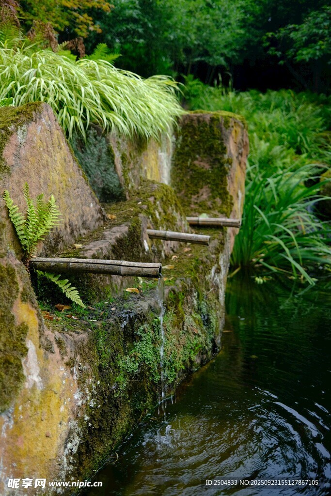 石畔流水綠植自然景致