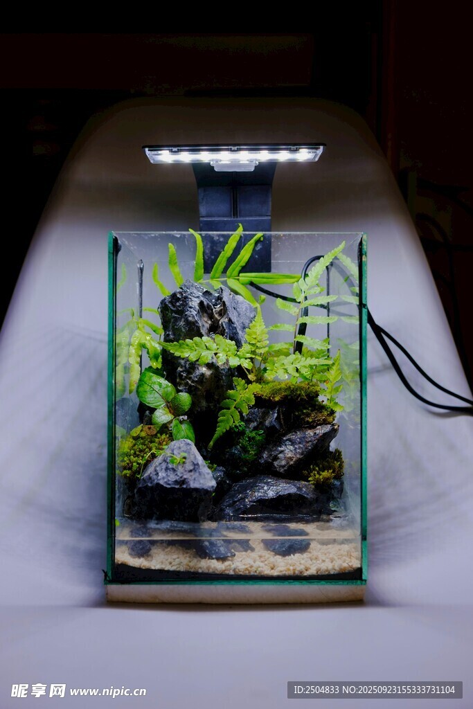 精致小型水族景觀