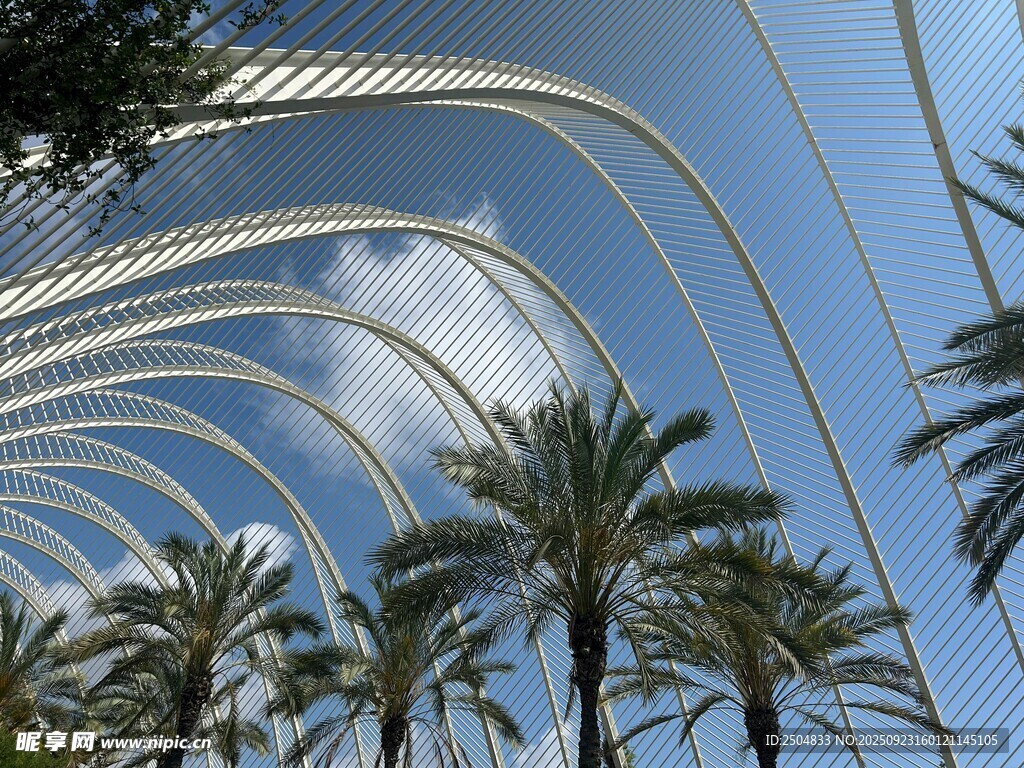 拱形建筑下的棕櫚樹景觀