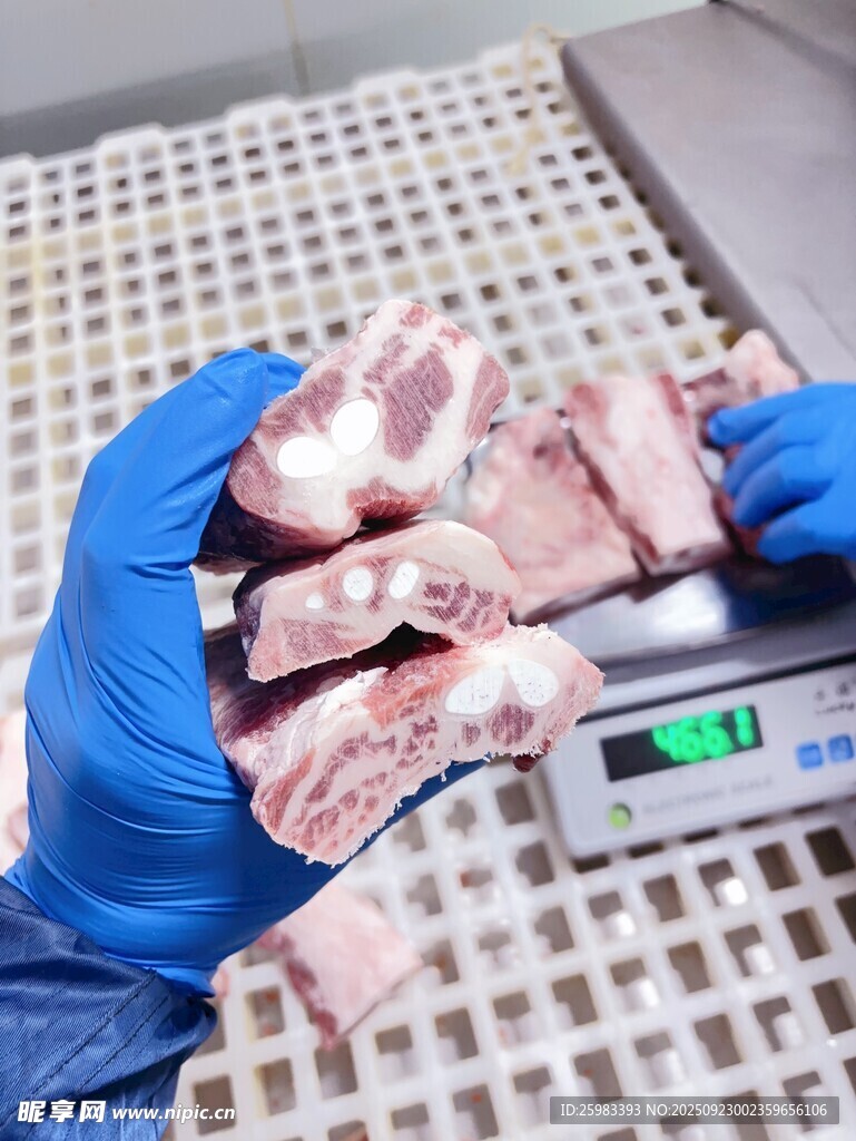 豬肉