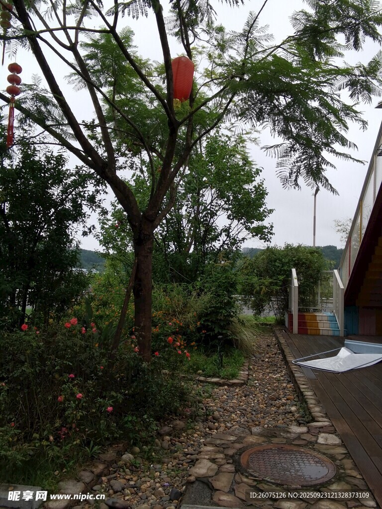 林間小徑自然靜謐之景