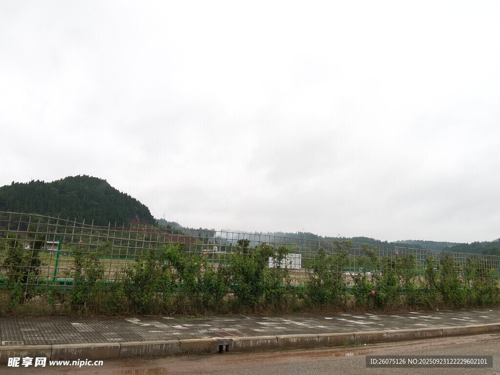 鄉(xiāng)村公路旁的青山綠植
