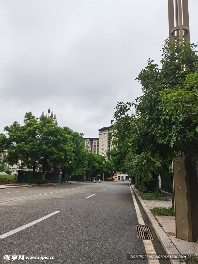 城市街道綠樹成蔭景象