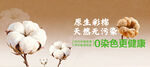 天然彩棉海報(bào)